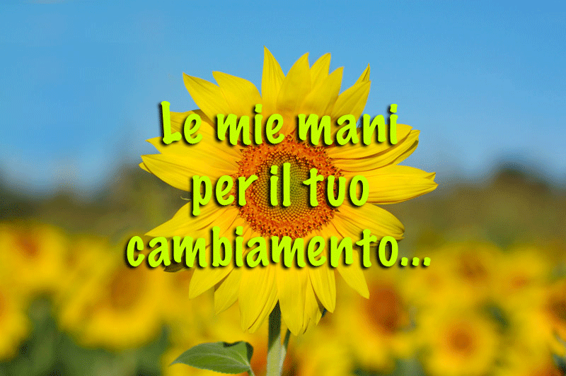 Girasoli — Radioestesia dell'Anima